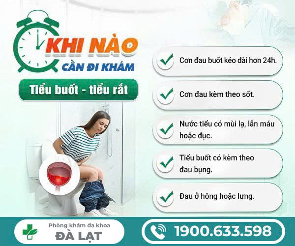 Hình ảnh minh họa